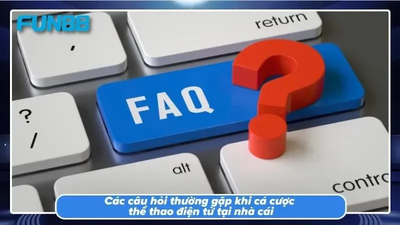 Đội ngũ hỗ trợ cược thủ hoạt động liên tục 24/7.